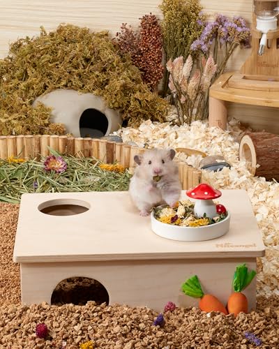 Niteangel Hamster Snack & Treats Toy: - Small Animal Natural Treat Mix for Dwarf Syrian Robo Hamsters Gerbils Mice Lemmings Degus or Other Small-Sized Pets (Vegetable Combo - 40g)