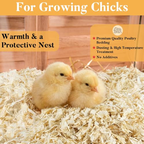Sukh 31 OZ Chicken Coop Bedding - Aspen Shavings Small Animal Bedding | Odor Control Nesting & Winterizing Supplies for Chicken House, Small Pets, Guinea Pig, Rabbit, Chinchilla, Bird & Gerbil