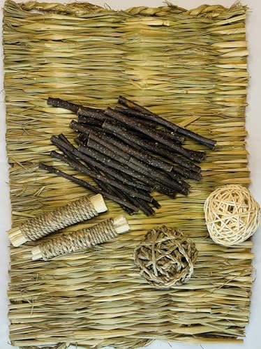 Large Grass mat with chew Toys