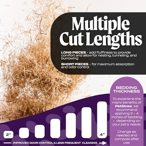 HealthiStraw PetStraw Mini, 38 L (4 lbs) – All-Natural Multi-Length Wheat Straw Animal Bedding for Small Pets -Ideal for Tunneling and Burrowing, Soft - Sustainably Sourced
