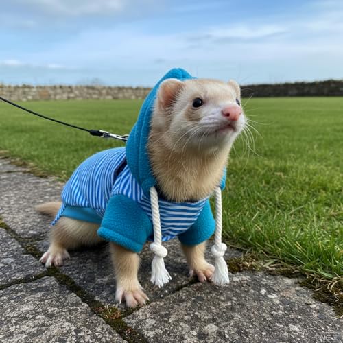 Small Pet Harness Vest and Leash Set Ferret Clothes Hoodies for Ferrets for Outdoor Walking Rabbit Ferret Guinea Pig Bunny Hamster Puppy Kitten (Blue and White Striped Clothes + Leash) - color: Blue and white striped clothes + leash