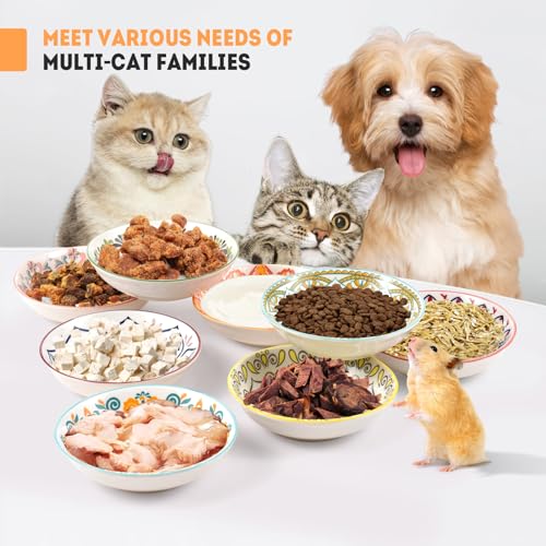 Cat Food Bowl, 8 Pack Ceramic Cat Dishes for Food & Water, Kitten Bowls Set | 5.5" Shallow Feeding Bowls for Wet Meals, Kibble & Water, Whisker Friendly Wide Plates for Cats, Dishwasher & Microwave Safe - size: Boho–8 Pack