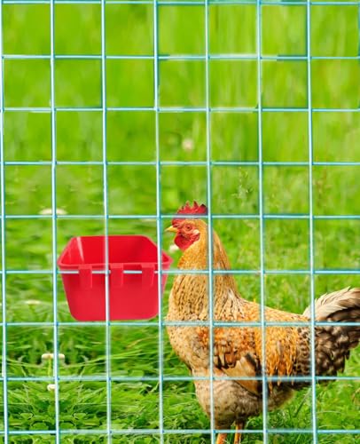 Pack of 10 Cage Cups Birds Feeders Seed Bowl Chicken Feeding Watering Dish Rabbit Water Food Hanging Wire Cages Box 8 oz Coop Cups for Pet Parrot Parakeet Game Fowl Poultry Pigeon - color: Red Square 10 packs 16oz