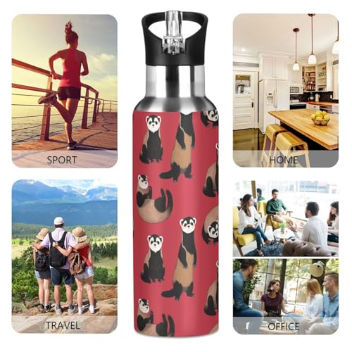 Ferrets Red Water Bottle Kids Stainless Steel Water Bottle with Straw Lid, Leak Proof Boys Girls Insulated Tumbler Cup for School 20 oz - color: Multi34