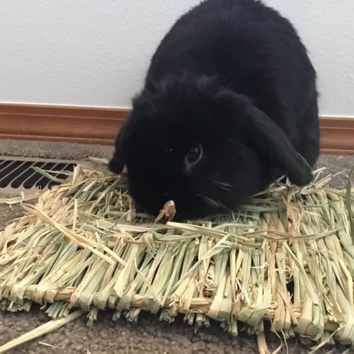 PINVNBY Straw Mats for Rabbits,11.0"x8.3" Natural Bunny Grass Mat,Handwoven Rabbit Hay Mat Small Animal Bedding Chewable & Cooling Mat - Eco-Friendly Cage Liner Nesting Toy(4 PCS) - size: 【4 PCS】