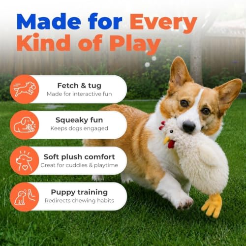 Best Pet Supplies Interactive Squeaky Dog Toy - Crinkle Chicken, Beige | Stuffing Free Body, Soft, Squeaks & Crinkles, No Mess, Perfect for Moderate Chewers, Toss and Fetch Play - color: Crinkle Chicken (Beige), size: Large