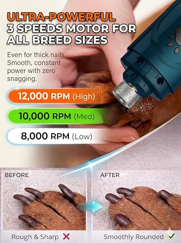 Super Quiet Dog Nail Grinder & Clippers Kit with 2 LED Lights, 3 Speeds Up to 12,000 RPM, Lower Than 30dB Electric Pet Nail Trimmer for Small Medium Large Dogs and Cats - color: A-Blue