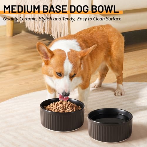 Non-Slip Ceramic Dog Bowls,6" Dog Food and Water Bowl Set with Silicone Base, 32oz/4cups Weighted Flip-Proof Pet Feeding Bowl for Medium Dogs (Medium,Black) - color: Black, size: 4 Cups