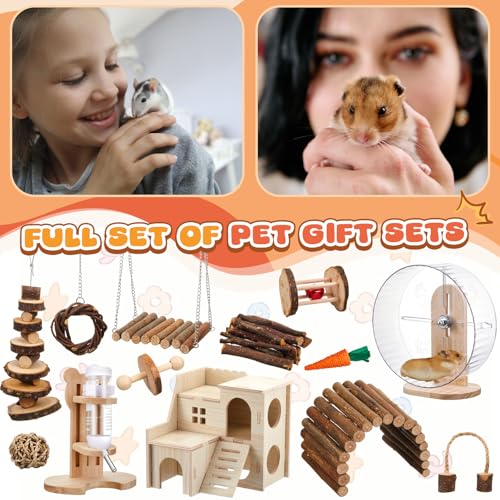 18 Pcs Hamster Toys Set, 10 Kinds Small Animal Chewing Toys, Maze Wood House, Silent Exercise Running Wheels and Water Bottle Set for Hamster Habitat Rat Cage Accessories(Mixed Play Style) - style: Mixed Play Style