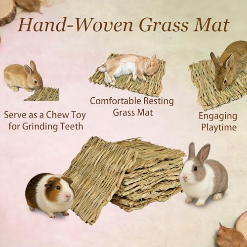 Tfwadmx 18 Pack Bunny Grass Mat Rabbit Natural Straw Woven Bed Small Animal Cages Hay Mats Sleeping Nesting Chewing Toys for Guinea Pig Rabbit Chinchilla Squirrel Hamster - size: 18Pcs