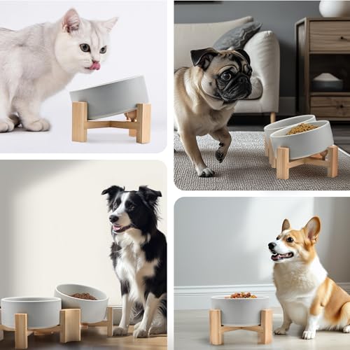 SPUNKYJUNKY 15° Slanted Ceramic Dog and Cat Bowl with Wooden Stand, Tilted Bulldog Food and Water Bowl No Slip Non-Spill for Cats Medium Dogs Big Face Pets 28.7 OZ (3.6 Cups, Grey × 2) - color: Grey, size: 3.6 CUPS × 2