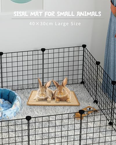 JanYoo 2 Pieces Bunny Scratch Pads, Sisal Rabbit Scratching Pad Bunny Scratcher Mat Guinea Pig Resting Mats for Cages, Small Animal Claws and Teeth Care Bedding Accessories(15.7x11.8in, Beige) - color: 3-Beige