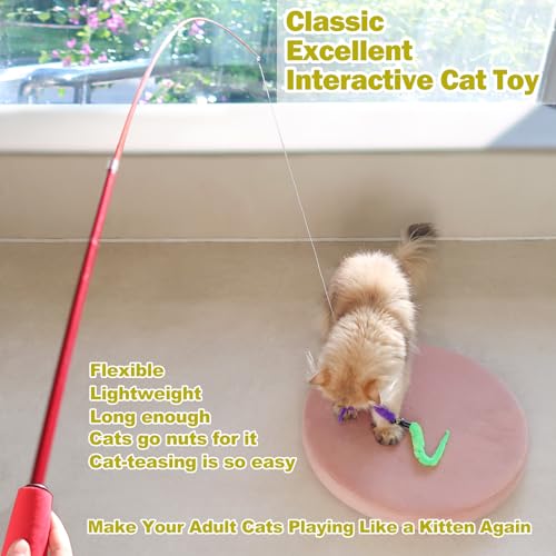 MeoHui Cat Toys for Indoor Cats, Interactive Cat Toy 2PCS Retractable Wand Toy and 9PCS Cat Feather Toys Refills, Funny Kitten Toys Cat Fishing Pole Toy for Bored Indoor Cats Chase and Exercise