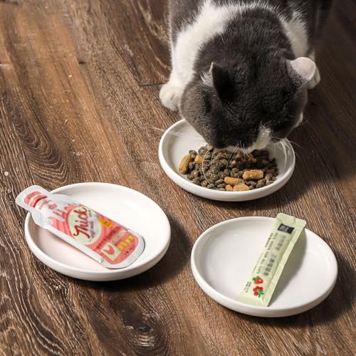 3 PCS Ceramic Cat Bowls, 5.5 in Pet Bowl Cat Dishes for Food and Water, Small Dog Dish(White) - color: white