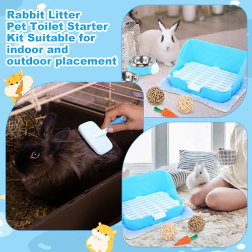 Reallnaive 15 Pcs Rabbit Starter Kit Small Rabbit Litter Box Girls Gift Animal Grooming Kit Bunny Toys Bowl Blankets with Cleaning Set for Guinea Pig Accessories(Light Blue) - color: Light Blue