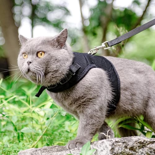 PUPTECK Soft Mesh Cat Vest Harness and Leash Set Puppy Padded Pet Harnesses Escape Proof for Cats Small Dogs Rabbits Bunny, Black Medium - color: Black, size: M(NECK 7", CHEST 10.5", 4-6 lbs)