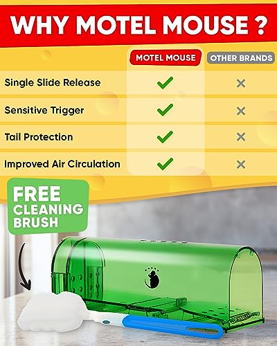 Motel Mouse Humane No Kill Mouse Traps Live Catch & Release - 4 Pack | Imrpoved Tail Protection • Kid & Pet Friendly • No Touch Release • Reusable Design • Easy to Use - color: Regular Green 4 Pack