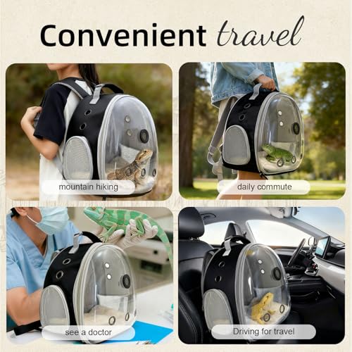 Reptile Travel Backpack Carrier with Reptile Thermometer and Humidity Gauge & Harness Leash Lizard Travel Cage Space Capsule Clear Bubble Window Astronaut Bearded Dragon Bag for Ball Python - color: Black
