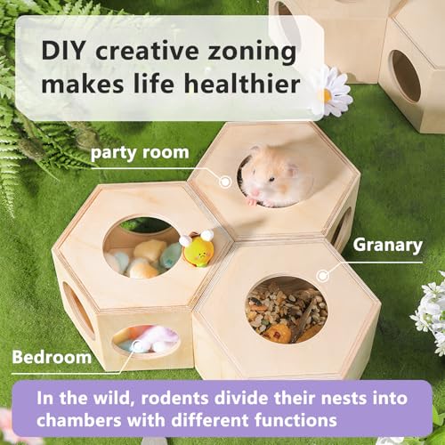 Dwarf Hamster Hideout – Versatile Wooden House for Small Animals, Gecko, Lizard & Rat Hideout, Smoothly Polished, Ideal for Bedroom or Granary