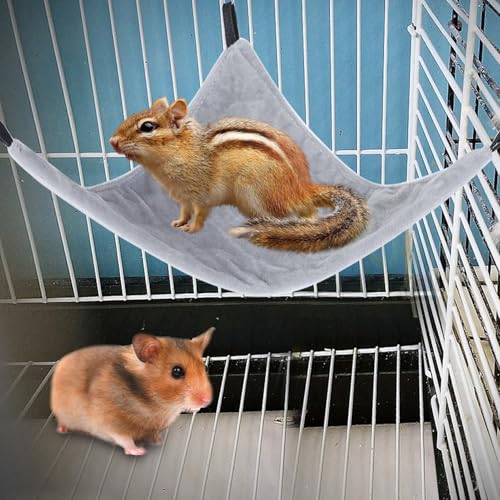 Acouto Small Pet Hammock Hanging Bed for Squirrel Hamster Sugar Glider Guinea Pig Guinea Pig Hammock Hamster Small Animal Corner or for Cage Rat Outdoor Squirrel Pssop Hammo (Grey) - color: Grey