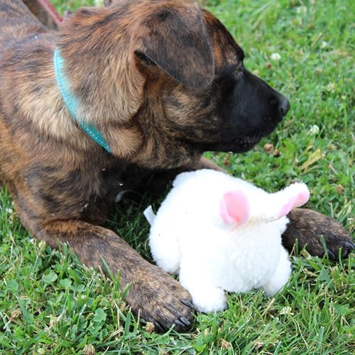 SPOT 6in Vermont Style Fleece Rabbit Dog Toy – Soft Comfort Plushie for Small Dogs & Puppies – Built-in Squeaker – Safe for Light Chewers – No Plastic Parts – Calming & Cuddly Pet Toy - size: 6 inch (Pack of 1), style: Rabbit