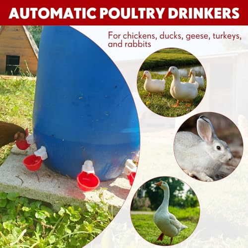 LemonRoad 30 Set Automatic Chicken Waterer Cups with 1/2" PVC Tee Fitting Chicken Drinking Bowl, Poultry Drinker Mounting Hole Opener,Water Dispenser Feeder for Duck, Goose, Pigeon(Light Red) - color: Light Red