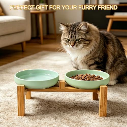 Shallow Elevated Cat Bowls with Bamboo Stand, 6.1 Inch Wide Ceramic Cat Dish Whisker Friendly, 2 Pack Pet Food and Water Plates - color: Mint Green elevated