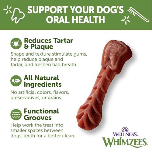 Wellness Whimzees Brushzees Natural Dog Dental Treat, VOHC Accepted Chews, Freshens Breath, Extra-Small Size, 12.7 oz Bag, 48 Count (Pack of 2) - size: 48 Count (Pack of 2)