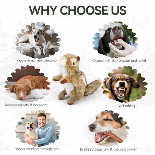 ALL FOR PAWS Squeaky Dog Toys, Plush Dog Toy, Stuffed Animal Dog Toys for Small Medium Large Dogs, Soft Chipmunk Toy with Squeaker - color: Chipmunk(S)