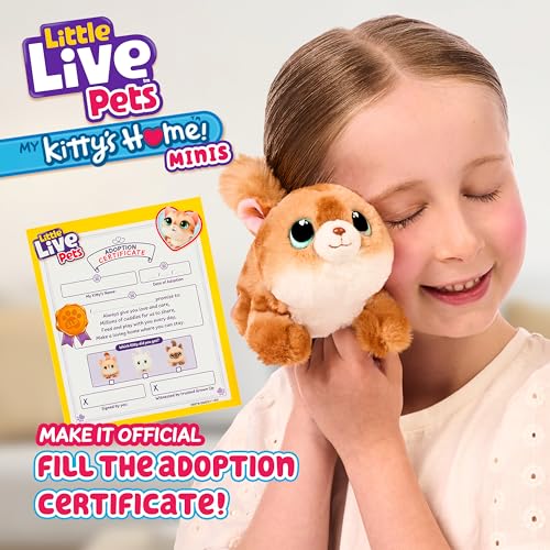 Little Live Pets My Kitty's Home Mini Playset, Mystery Kitty Plush Reveal, Build and Decorate Toy Pet Carrier, Repeat Play, Cat House Toys for Kids 5+ - style: Kitty's Home Mini