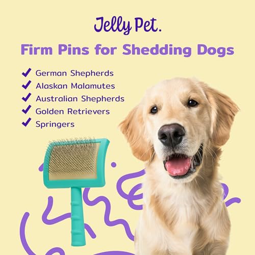 Jelly Pet Universal Slicker Brush for Dogs, Grooming Brush, Remove Tangles and Dead Undercoat, Tuffer Than Tangles, Doodle Huskie Sheep Dog Golden Retriever German Shepherd, Firm Pins, Teal, Large - color: Teal, size: Large (3 in x 4 in) - Pins (Firm)