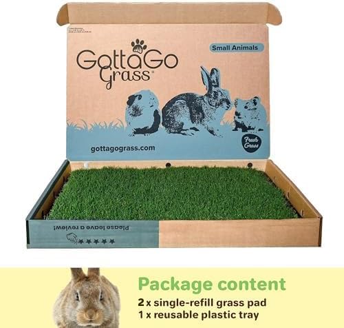 Gotta Go Grass for Small Animals – Natural Real Grass Bedding & Pet Resting Pad,Grass Potty Pad for Rabbits, Guinea Pigs, Hamsters, & Small Pets, Odor Absorbent Grass Mat (With Tray 2-Pack 16" x 24") - size: With Tray 2- Pack