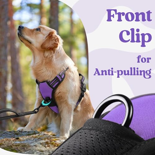 rabbitgoo Dog Harness Small Sized, Updated Easy On & Off with 3 Buckles | No Pull No Choke, Walking with 2 Clips and Handle, Adjustable Soft Reflective, Purple, Small - color: Purple, size: Small