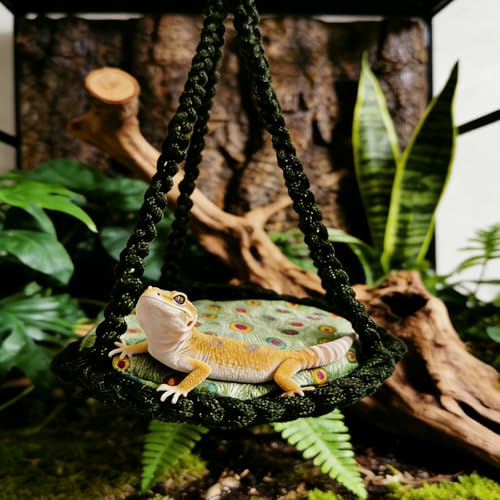 Reptile Hammock Swing Hanging Bed Bearded Dragon Hammock Reptile Accessories for Chameleon, Lizards, Gecko, Snakes, Iguana Reptiles, Geckos, Bird, Parrot, Parakeet, Cockatiel Toys（Green with pad） - color: Green with pad