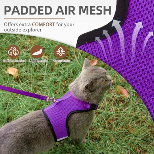 PUPTECK Soft Mesh Cat Vest Harness and Leash Set Puppy Padded Pet Harnesses Escape Proof for Cats Small Dogs Rabbits Bunny - color: Purple, size: M(NECK 7", CHEST 10.5", 4-6 lbs)