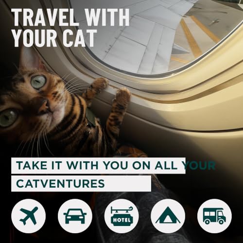 OutdoorBengal Go Litter™ Portable Travel Litter Box for Cats (Tray, XL) | Foldable collapsible pan for large felines, leak proof and non stick, wipes clean, camping, car, RV and airplane essentials - style: Large Tray