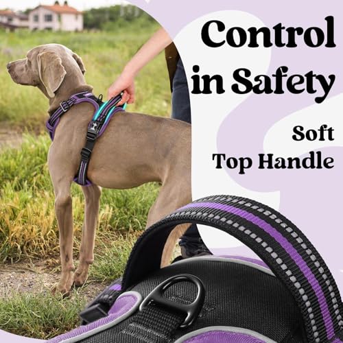 rabbitgoo Dog Harness Small Sized, Updated Easy On & Off with 3 Buckles | No Pull No Choke, Walking with 2 Clips and Handle, Adjustable Soft Reflective, Black & Purple, Small - color: Black & Purple, size: Small