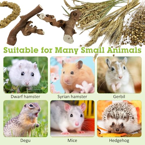 Tfwadmx 2PCS Wood Hamster Climbing Branches & Small Animal Natural Ear of Grain Spray Hamster Bedding Habitat Decor Rat Exercise Toys Treat Cereal Grain for Hamsters Gerbils