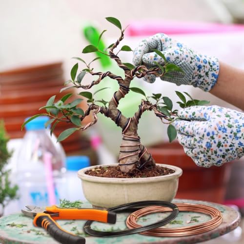 Mudder 5 Roll Aluminum Bonsai Training Wire Tree 1/1.5/2.0mm 160 Feet Total with Bonsai Wire Cutter Anodized Training for Holding Branches Small Trunks(Classic) - color: Classic, size: 1/1.5/2.0mm