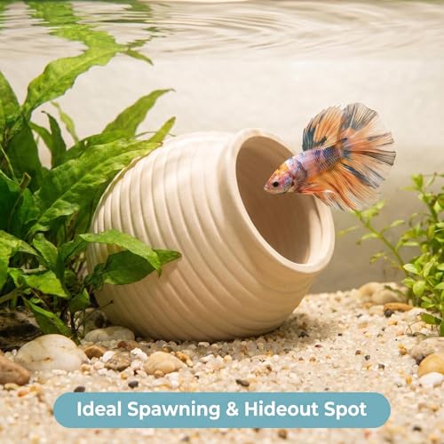 SpringSmart Aquarium Decor Rock Betta Fish Tank Decorations Ceramic Hideout Stone for Fish Shrimp Turtle Crab to Breed, Rest and Play, Small Fish Bowl Hiding Cave, Pot Shaped Betta Toys - size: TG