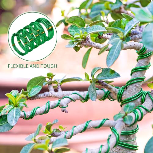 Mudder 5 Roll Aluminum Bonsai Training Wire Tree 2/2.5/3/4/6mm 42 Feet Total with Bonsai Wire Cutter Anodized Training for Holding Branches Small Trunks(Green) - color: Green, size: 2/2.5/3/4/6mm