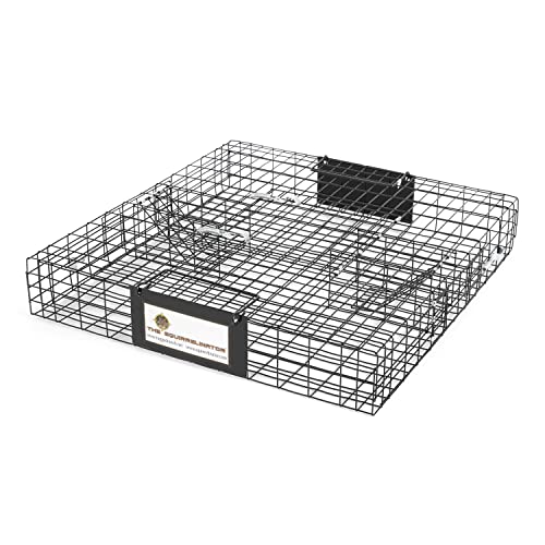Rugged Ranch Squirrelinator w/ Waste Basin Outdoor Multi-Catch Squirrel Trap - Humane Live Cage Catcher, Rodent Control for Barns, Garages, Sheds, Gardens, Farms, Yards or Lawns - color: Squirrel w/ Basin, size: 1 Pack