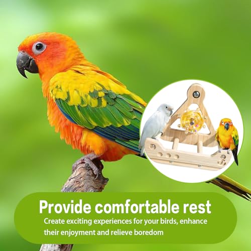 Bird Stand Perch Toy,Interactive Rocking Parakeet Toy and Perch, Wooden Exercise Wheel Cockatiel Toy, Intelligence Puzzle Enrichment Toys,Bird Playground Play Stands for Conure Budgie(C) - color: D