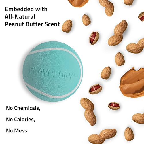 Playology Squeaky Chew Ball Dog Toy - Small, Peanut Butter Scent, 3-Pack | Floating, Bouncy Fetch Toy, All Breeds, Indoor Outdoor Use, Non Toxic, Dishwasher Safe