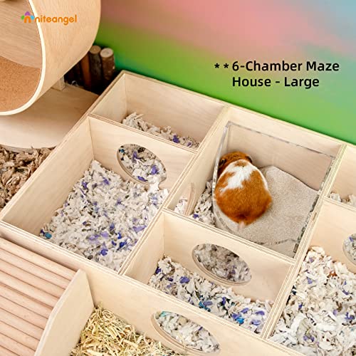Niteangel Small Animal Sand-Bath Box - Acrylic Critter's Sand Bath Shower Room & Digging Sand Container for Hamsters Mice Lemming Gerbils or Other Small Pets (Fan-Shaped, Transparent) - color: Transparent, size: Fan-Shaped