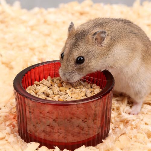 2 Pack Hamster Bowl Glass Food and Water Dish Anti-Turning Colorful Feeder for Dwarf Syrian Hamster Gerbil Mice Rat (Random Color)