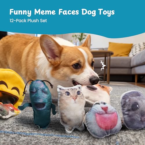 Nocciola Plush Squeaky Dog Toys – 12 Pack Small Dog Chew Toys with Squeakers, Soft Stuffed Puppy Toys with Carry Bag for Small & Medium Dogs - style: 12pcs Funny Toys