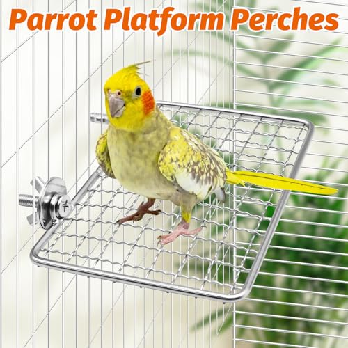 BNOSDM Bird Perch Platform 2 Pcs Stainless Steel Grid Parrot Perches Stand Shelf Parrots Platform Perch Small Birds Cage Accessories for Parakeets, Budgies, Conures, Cockatiels, Lovebirds (S)
