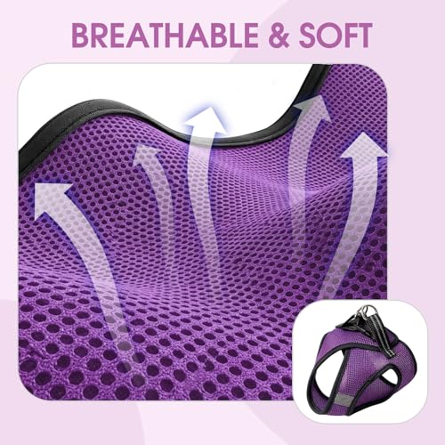 Cat Harness and Leash Escape Proof, Soft Breathable Mesh Kitty Walking Vest, Adjustable Step-in Kitten Harness Set with Reflective Strip for Small Cats - color: Purple, size: Small