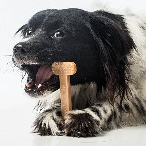 Bullibone Nylon Dog Chew Toy for Aggressive Chewers - Dental Hygiene Bone with Bacon Flavor, Durable Tough Chew Toys for Small Dogs, Indestructible Dog Bone - Single - size: Small - Single